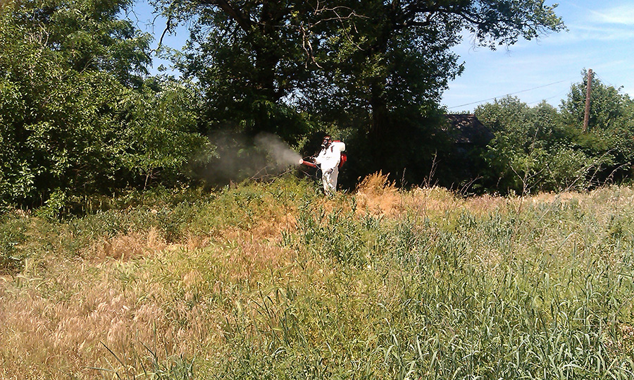 Единая служба СЭС