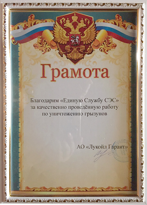 Единая служба СЭС